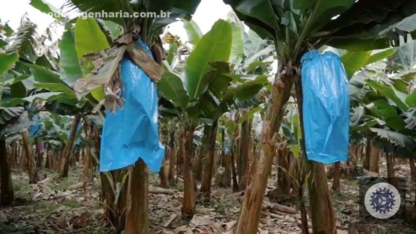 1688371141 plastico aditivado biocompostavel e produtos com reciclado