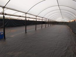 1690994678 cipatex apresenta solucoes para o cultivo de peixes e camaroes