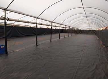 1690994678 cipatex apresenta solucoes para o cultivo de peixes e camaroes