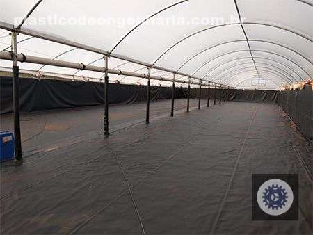 1690994678 cipatex apresenta solucoes para o cultivo de peixes e camaroes
