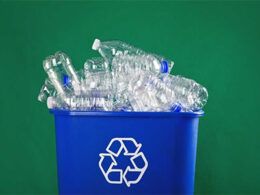 1691002105 no dia mundial da reciclagem o movimento plastico transforma destaca