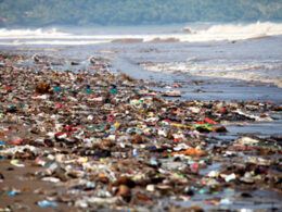 1693599444 abiplast envolve se nas discussoes sobre o tratado global para combater