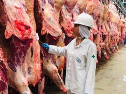 1709671303 as exportacoes de carne do brasil movimentam o setor