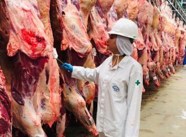 1709671303 as exportacoes de carne do brasil movimentam o setor