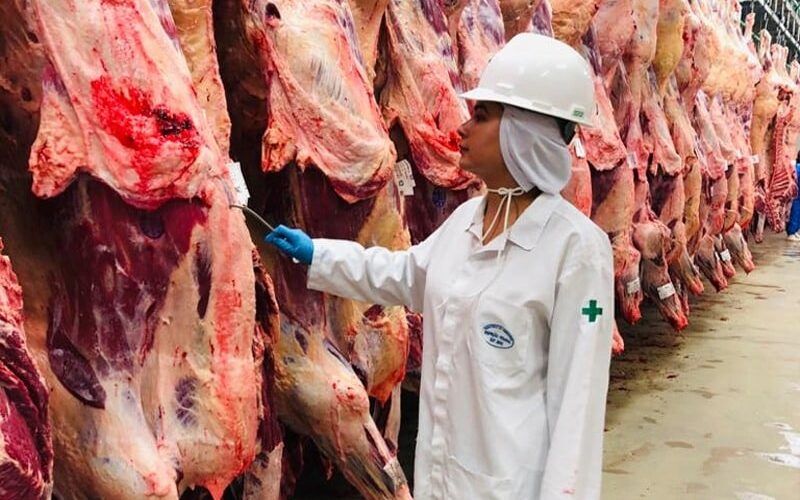 1709671303 as exportacoes de carne do brasil movimentam o setor