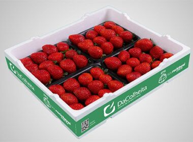 1719396940 termotecnica lanca novas embalagens dacolheita para morangos de qualidade premium