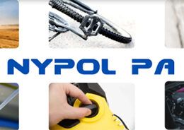 1721896689 petropol realca compostos sustentaveis de poliamida e polipropileno na interplast