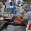 1722975354 cni destaca perspectiva positiva para a industria de transformacao
