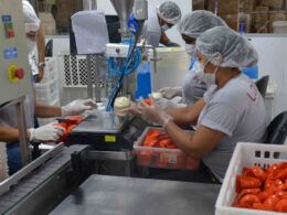 1722975354 cni destaca perspectiva positiva para a industria de transformacao