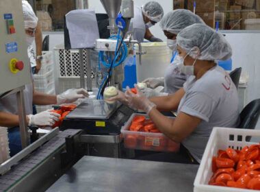 1722975354 cni destaca perspectiva positiva para a industria de transformacao