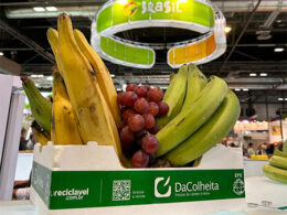 Termotécnica marca presença na Fruit Attraction Madrid com suas embalagens FarmFresh. 9 1729854046 termotecnica marca presenca na fruit attraction madrid com suas embalagens