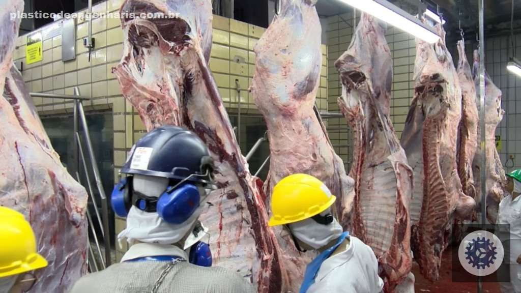 Avaliação de carcaças através do PMGZ Carne. Foto: Divulgação