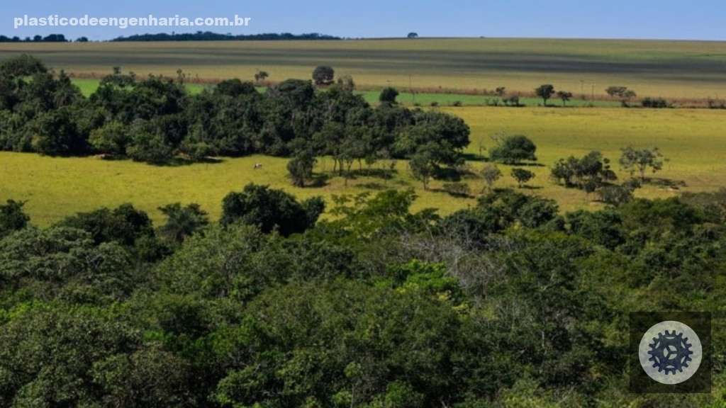 1747809684 607 m519xviU mata floresta meio ambiente 17.05.2024