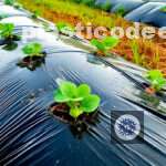 Plástico no agronegócio é usado em irrigação, estufas e silagem