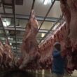 Produção de carnes bovina, de frango e suína bate recorde em 2024, diz Conab