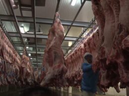 Produção de carnes bovina, de frango e suína bate recorde em 2024, diz Conab