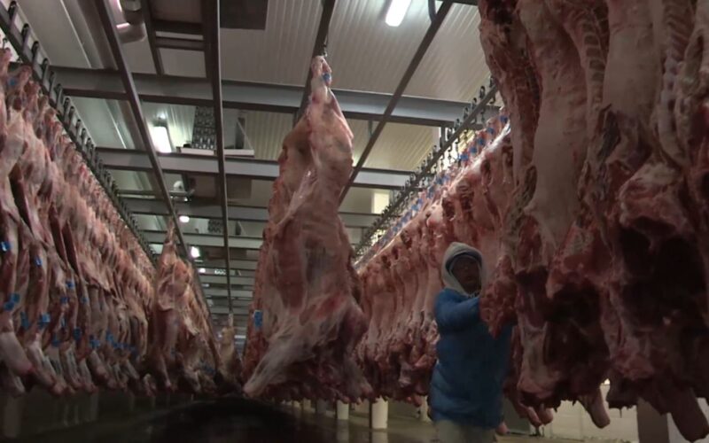 Produção de carnes bovina, de frango e suína bate recorde em 2024, diz Conab