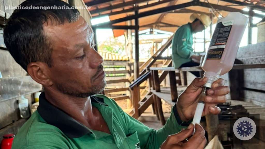 Controle sanitário eficaz na recria aumenta a rentabilidade da fazenda e garante saúde dos rebanhos. 2 49eft60e Rota 360 Vetoquinol 24.04.2024 6