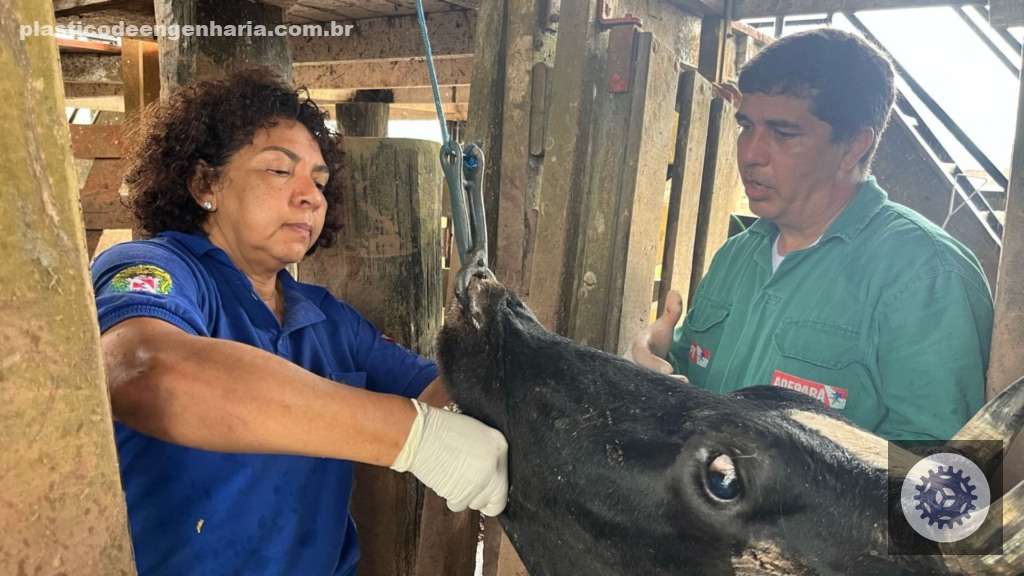 Ações da equipe da Agência de Defesa Agropecuária do Pará (Adepará). Foto: Divulgação/Adepará