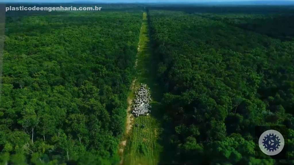 F2VOCtq3 propriedade rural 18.03.2025
