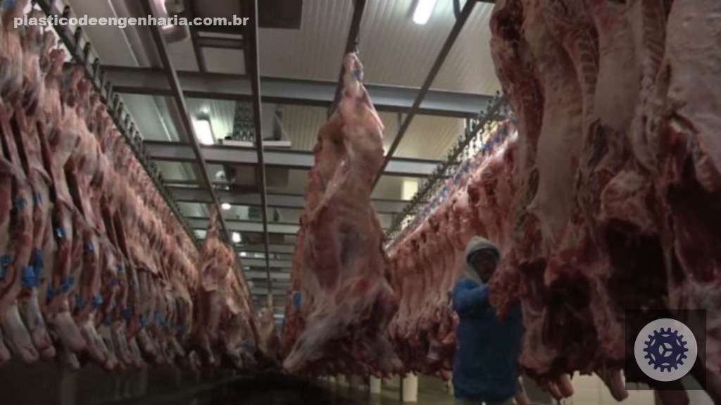 Friboi carcaca bovinos frigorifico 15.12.2023 1