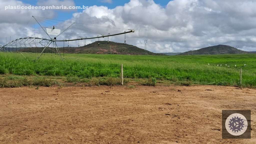 Angus de 16 meses com quase 20@: conheça a fazenda na Bahia que combina excelência e natureza exuberante 3 Giro Itapetinga BA Fazenda CKF 05.05.2025