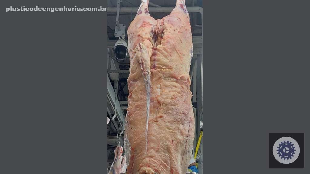 Novilhada pesada com gordura excepcional em MT garante qualidade superior e sabor inigualável na sua mesa 3 Giro Juara MT novilhas confinamento 28.04.2025 1