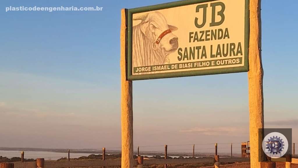 Grupo JB alcança excelentes resultados com bezerros desmamados acima de 300 kg, elevando a rentabilidade do seu rebanho 2 Giro Lins JB Fazenda Santa Laura 02.05.2025