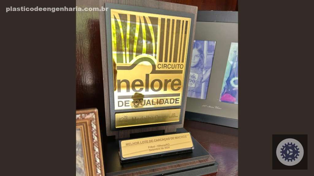 Fazendeira de Rondônia conquista Circuito Nelore com gado de elite, elevando a pecuária nacional a novos patamares 3 Giro Rolim de Moura RO 22.04.2025 3