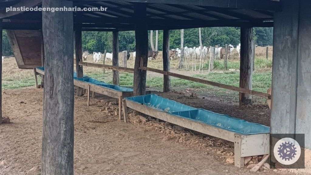 Giro Vilhena RO 12.02.2024