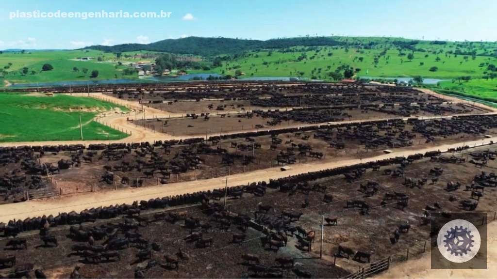 Automação de tratos para gado