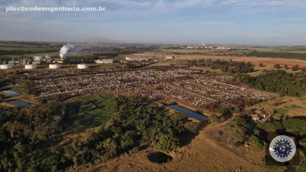 Vista aérea do confinamento da JB Agropecuária, localizada em Novo Horizonte (SP). Foto: Reprodução