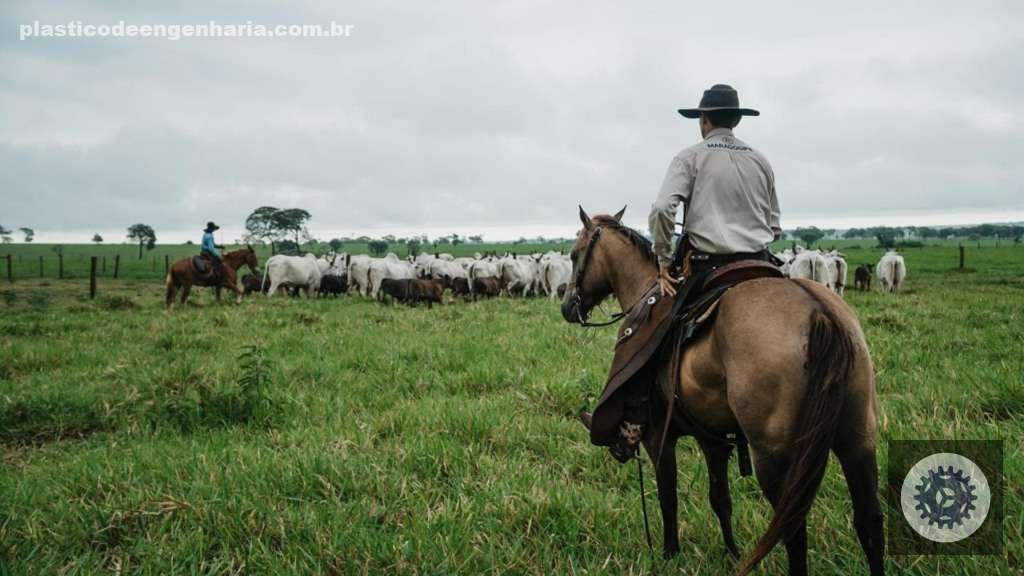 ILP, antes de virar moda: veja como a Maragogipe faz uma integração de verdade