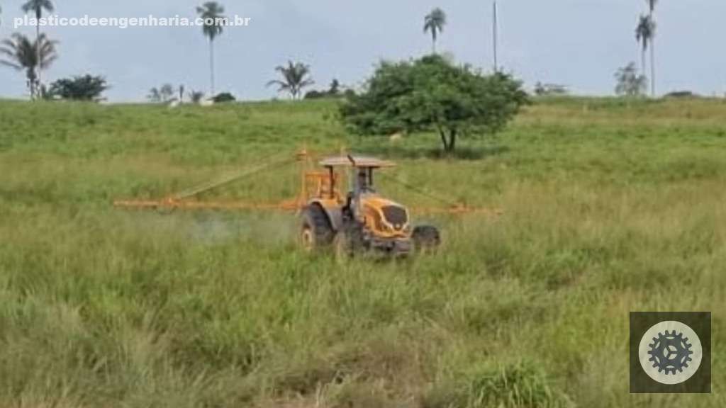 Tecnologia eficaz no controle de plantas lenhosas renova estratégias para manejo sustentável de daninhas 5 YwX7sl4b Capim capeta Top Ultra 03.12.2024 6