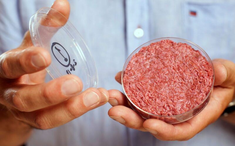 a carne do futuro e o foco do workshop sobre