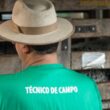 A prevenção de resíduos de medicamentos veterinários na carne bovina assegura saúde e qualidade alimentar para seus consumidores