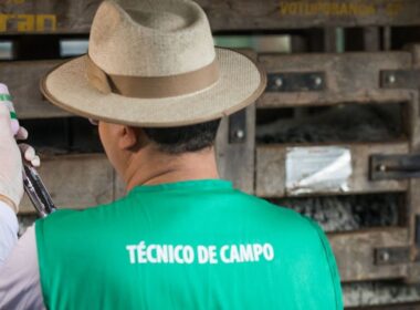 A prevenção de resíduos de medicamentos veterinários na carne bovina assegura saúde e qualidade alimentar para seus consumidores