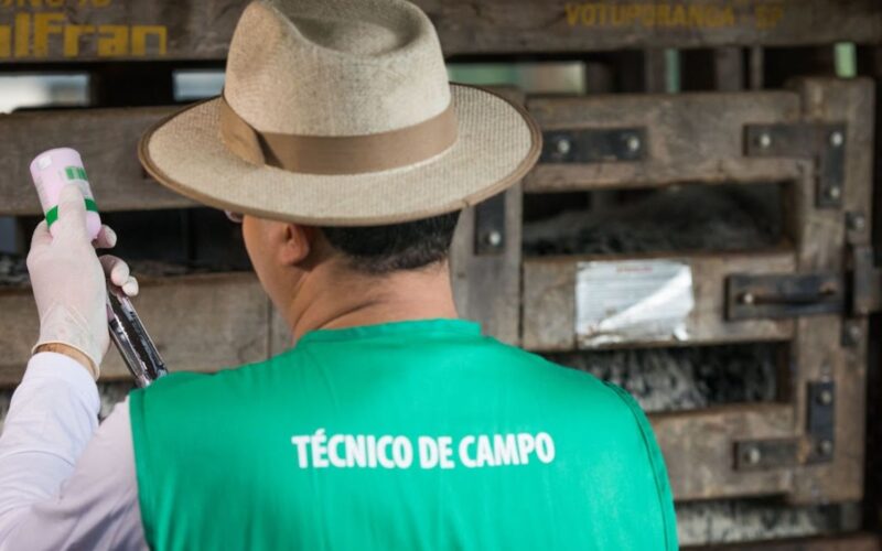 A prevenção de resíduos de medicamentos veterinários na carne bovina assegura saúde e qualidade alimentar para seus consumidores