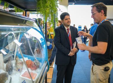a producao de peixes deve aumentar 328 ate 2030 na