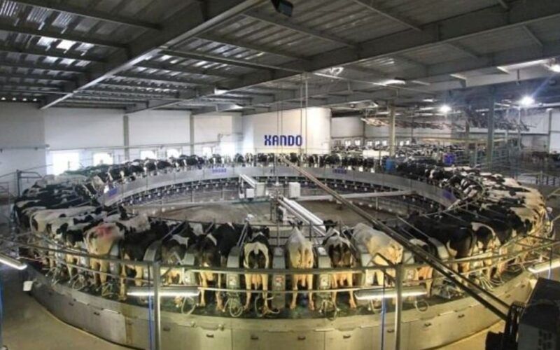 Fazenda Colorado: confira o cotidiano da maior produtora de leite no País