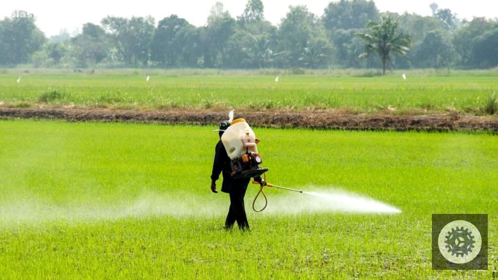 Malícia e lagartas em pastos: descubra soluções práticas e eficazes para proteger sua produção em MS 4 a5jJhuzx lavoura aplicacao defensivo 26.03.2024