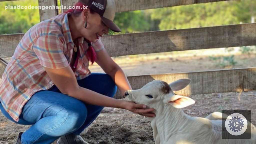 Pecuária eficiente: genética de qualidade, bem-estar animal e ILPF impulsionam a produção sustentável 2 a protagonista paula prado 10.04.2025 3