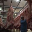 IBGE: abate de bovino, frango e suínos sobe no 4º tri de 2024 ante 4º tri de 2023