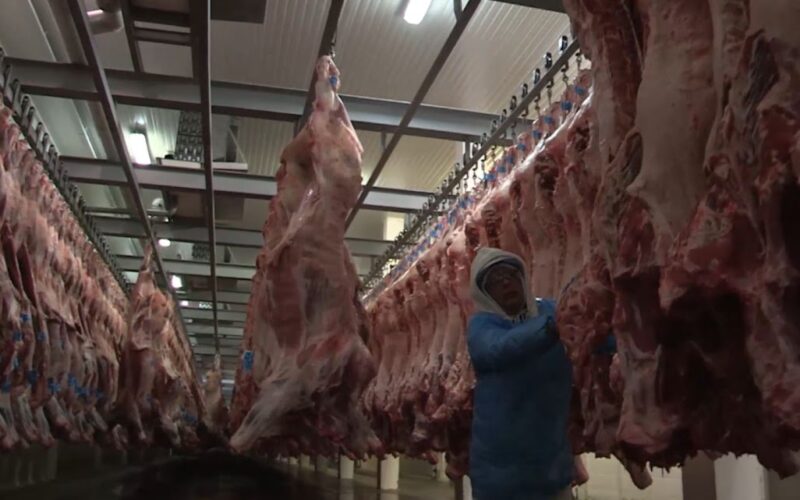 IBGE: abate de bovino, frango e suínos sobe no 4º tri de 2024 ante 4º tri de 2023