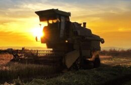 abcs apresenta propostas estrategicas ao mapa para fortalecer o agro