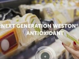 Addivant Triplica Produção de Antioxidante Fosfito: Revolução na Indústria Química! 12 addivant triplica producao de antioxidante fosfito revolucao na industria quimica.jpgmaxwidth1200