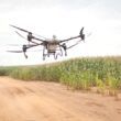 Pasto já é semeado por drone num dos maiores confinamentos de gado da América Latina
