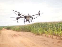 Pasto já é semeado por drone num dos maiores confinamentos de gado da América Latina