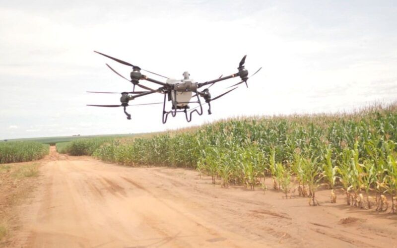 Pasto já é semeado por drone num dos maiores confinamentos de gado da América Latina
