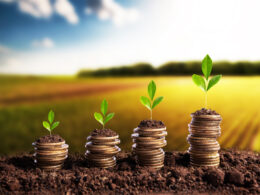 Agro alcança R$ 1,406 trilhão em agosto e amplia renda do produtor, crédito e exportações 9 Agro alcança R$ 1,406 trilhão em agosto e amplia renda do produtor, crédito e exportações